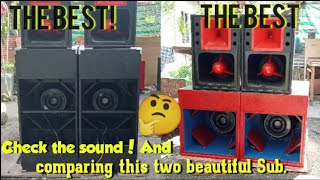 Sound Check new Box PARAFLEX C2E Loaded 1800w Compare and Combined with the Type R design [upl. by Adnawyek]