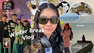 WINTER BREAK VLOG  boulevard world al khobar and dog cafe [upl. by Eittak]