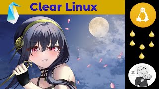 Clear Linux 42100 Review en 2024 la RR de Intel optimizada para seguridad y con su paqueteria [upl. by Oirasan665]