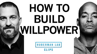 How to Build Willpower  David Goggins amp Dr Andrew Huberman [upl. by Nirik]