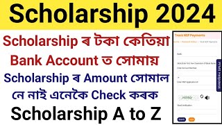 When Will Scholarship Amount Credited to Our Bank Account  How to Check Scholarship Payment Status [upl. by Dagney271]