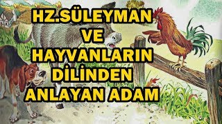 Hz süleyman ve hayvanların dilinden anlayan adamın hikayesi [upl. by Kaasi]