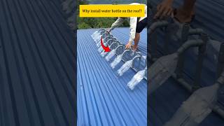 Why install water bottle on the roof promonster [upl. by Bernelle]