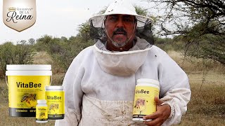 Suplemento VitaBee para tus abejas [upl. by Dahlia]