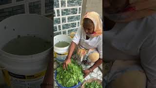 Bachho Ki Farmaish palaksaag villagefood villagekitchen sunilpalvlogs [upl. by Elyc]