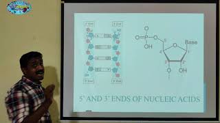 ALKALINE PHOSPHATASE  TAMIL  TOOLS FOR GENETIC ENGINEERING  BIOTECHNOLOGY  STD 12 [upl. by Alejna]