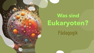 Was sind Eukaryoten  Aufbau  Beispiele  Menschen  Ribosomen  Größe  Zellwand  Funktion [upl. by Norling]