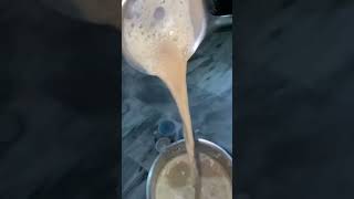 Tea Making tea youtubeshorts viralvideo pakvsaus [upl. by Jovi885]