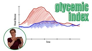 The Glycemic Index Explained [upl. by Tod506]