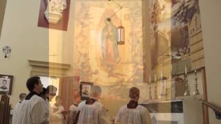 Salve Regina Solemn Tone FSSP [upl. by Isnam]