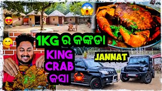 କିଲିକିଆ କଙ୍କଡା କସା 😍  Odia bhaina vlogs  Best picnic place [upl. by Festa]