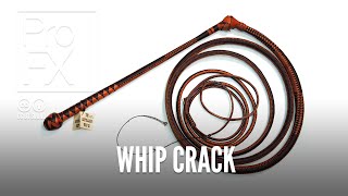 Whip crack sound effect  ProFX Sound Sound Effects Free Sound Effects [upl. by Tareyn]