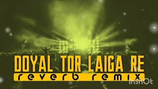 Doyal tor laiga re slowedandreverbviralvideo [upl. by Auhsoj]