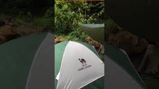 Coleman Vs Camel Crown tent Which is tougher coleman camelcrown camping [upl. by Nilknarf]