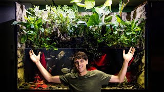 Adding Fish to The 350 Gallon Paludarium Build Part 4 [upl. by Marko548]