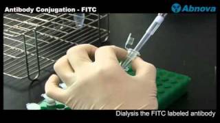 Antibody Conjugation  FITC [upl. by Siradal]