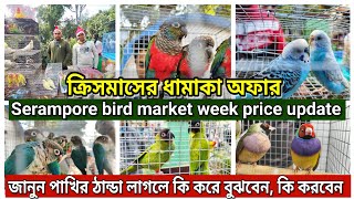 Serampore bird market price update 💥।Serampore market ধামাকা কালেকশন। Exotic Bird Market।serampore [upl. by Karleen622]