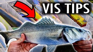 HOW TO  ZEEBAARS VANGEN🎣 handige vistips [upl. by Kruger]