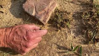 Arrowheads artifacts NE Oklahoma [upl. by Eelynnhoj]