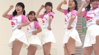 立命館大学チアダンスサークル BLENDERS CHEER UP（TWICE） [upl. by Hospers]