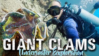 Camiguin Island CLAM SANCTUARY  Philippines Travel Vlog 2018 [upl. by Shipman]