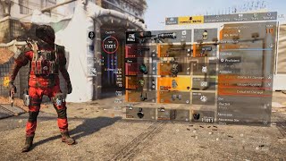 Tom Clancys The Division 2 DPS Crit Build [upl. by Haonam]