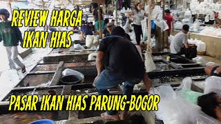 HARGA iKAN HIAS TERMURAH SE INDONESIA DI PASAR IKAN HIAS PARUNG BOGOR [upl. by Ahsieyt]