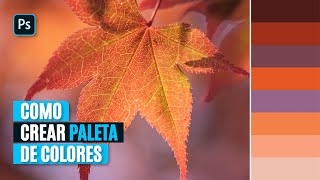 Como crear una PALETA DE COLORES en PHOTOSHOP – Tutorial [upl. by Olshausen]