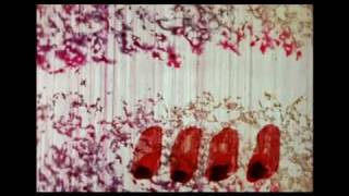 Norman McLaren  A Phantasy in Colors [upl. by Akinam]