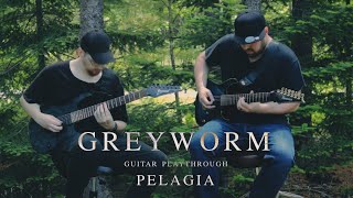 PELAGIA  Greyworm Guitar Playthrough [upl. by Akinuahs]