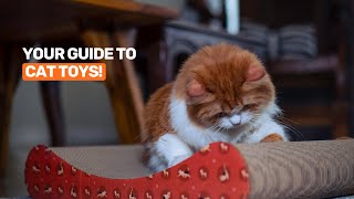 Best Cat toys for indoor cats [upl. by Edris]