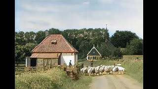 Texel De Parel Der Waddenzee in 1943 in kleur The beautiful Dutch island of Texel in 1943 in color [upl. by Nulubez]