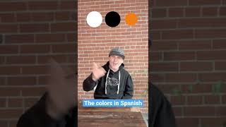 Colors in Spanish with BASHO amp FRIENDS [upl. by Thurber]