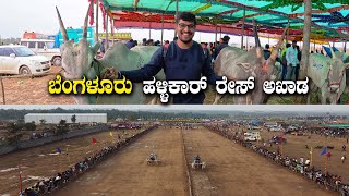 ಕಾರ್ ರೇಸಲ್ಲ ಹಳ್ಳಿಕಾರ್ ರೇಸ್ National Level Bangalore Bull Race Varthur Santhosh 2022  Kannada Vlogs [upl. by Camella]