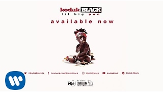 Kodak Black  Everything 1K Official Audio [upl. by Yerdna]