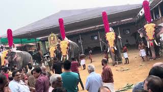 Temple Elephant 🐘🙏♥️ elephant temple hathiraja [upl. by Notnek]