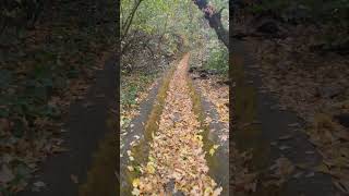 Hidden canal trail in Utah [upl. by Bartram911]