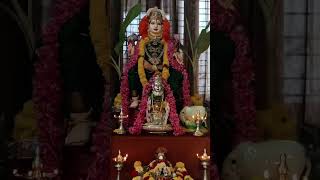 Varamahalakshmi festival devi pooja 🙏🙏💐dong Lakshmi God motivation Devi Amma Pooja [upl. by Selbbep159]