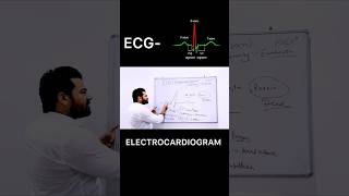 ECG  Electrocardiogram  biology shorts youtubeshorts trendingshorts viralshorts ecg facts [upl. by Friedrick]