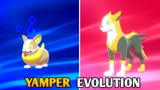 Yamper Evolution In Pokemon Sword amp Shield  Galar Pokedex [upl. by Zetes474]