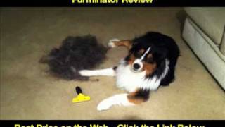 FURminator Review  Deshedding Tool  Best Dog Grooming Brush ★★★ [upl. by Ros]