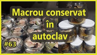 Macrou conservat in autoclav [upl. by Gee]