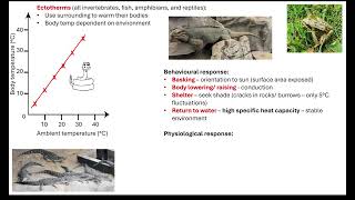 Temperature control in endotherms and ectotherms 511 Communication and homeostasis [upl. by Edelstein73]