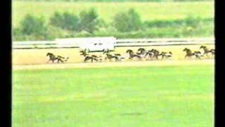 World Trotting Derby 1985  Prakas  Bill ODonnel [upl. by Zoldi111]