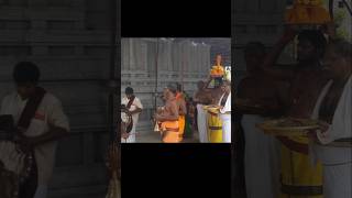 Maha chandi homam pooja desamma shorts navaratri chaganti hindudeity tamil abishekam amman [upl. by Schiro]