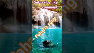 O paharia Maan👃👃youtube chai bagan songviral videoassam [upl. by Saref346]