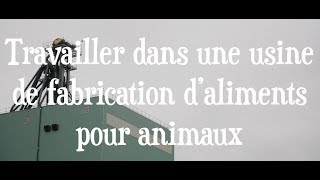 Travailler dans une usine de fabrication d’aliments pour animaux [upl. by Naehgem]