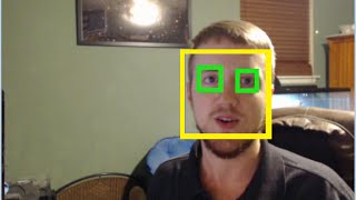 Haar Cascade Object Detection Face amp Eye  OpenCV with Python for Image and Video Analysis 16 [upl. by Bail]