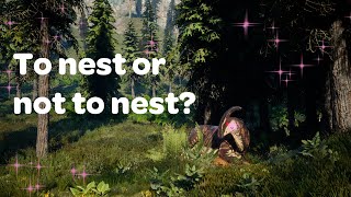 WWD Say yes to the nest [upl. by Eramal]