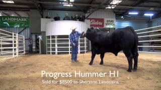 2014 Limousin National sale highlights [upl. by Haakon28]